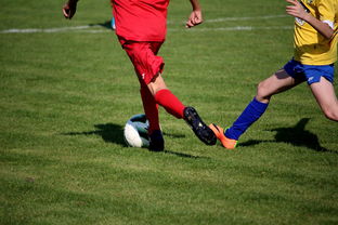 九游娱乐网站体验棒-“拳王争霸：四川省体育馆拳击赛将诞生新的世界拳王”